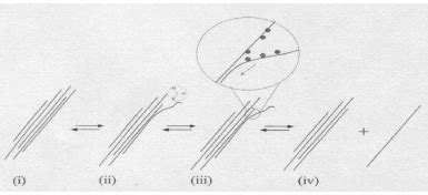 procedure for dispersing single walled carbon nanotubes prada silvy|debundling of carbon nanotubes.